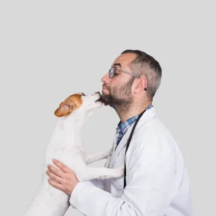 Veterinary clinic