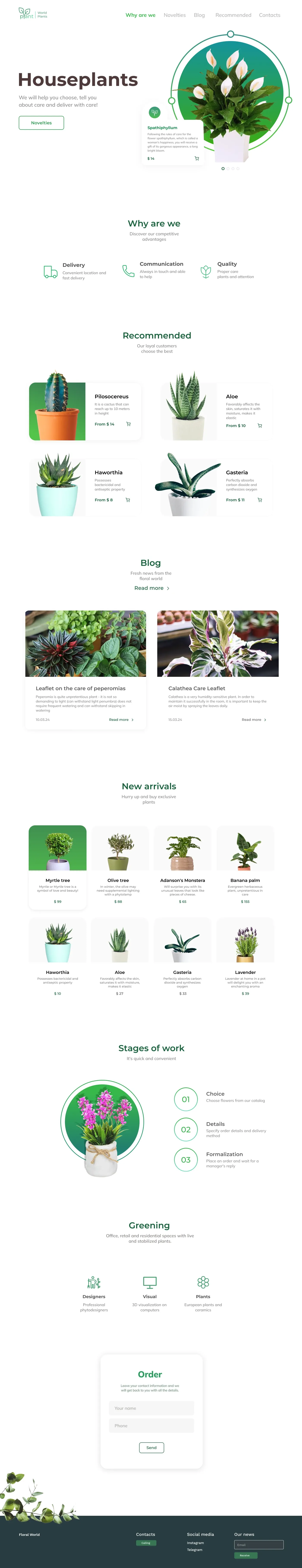 Houseplants